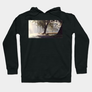 Park Benches . Hoodie